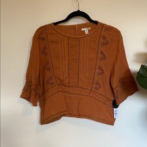 Amuse Society blouse